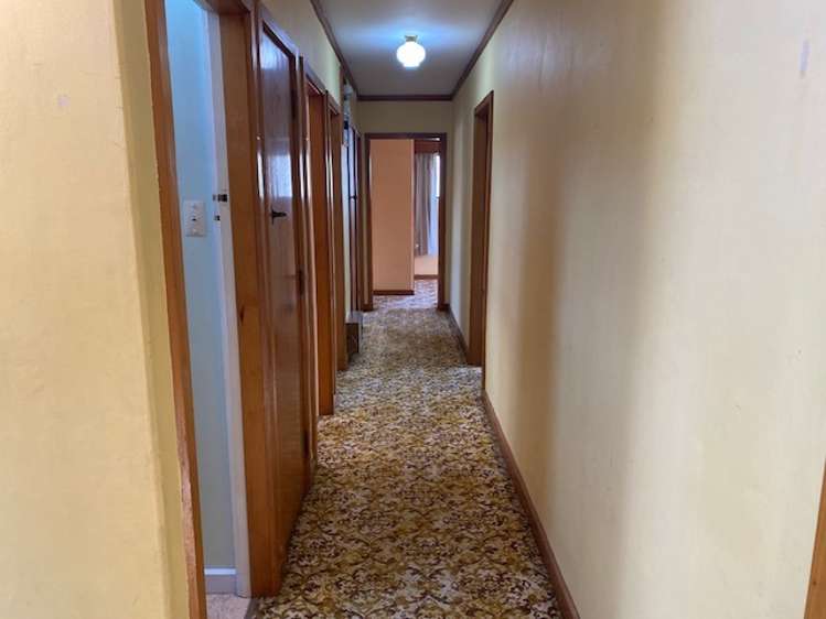 A/13 Begg Street 10307_9