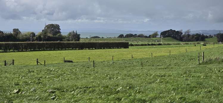 1028 Main North Road Onaero_10