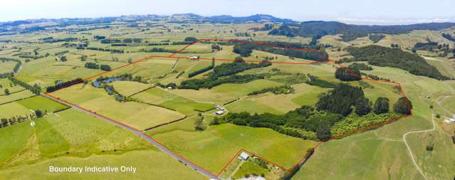 800 Waitawheta Road Waihi_3