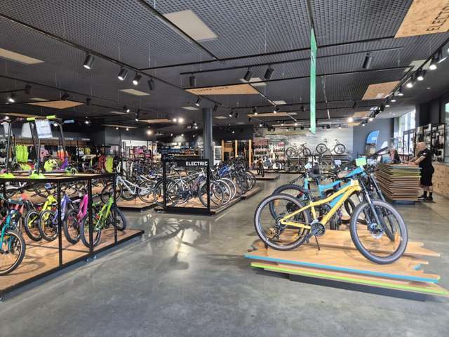 181 Vivian Street Te Aro_4