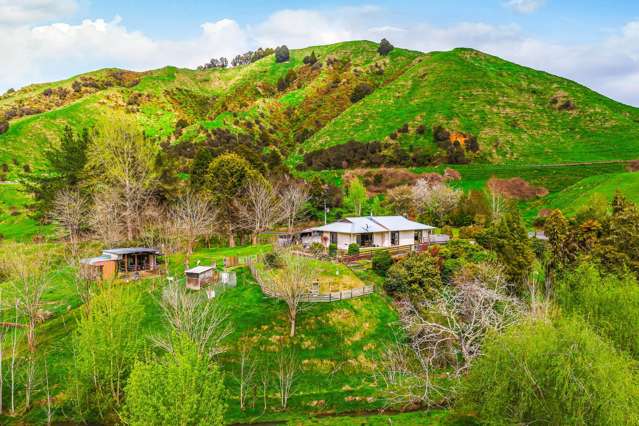 162 Okahukura Saddle Road Matiere_1