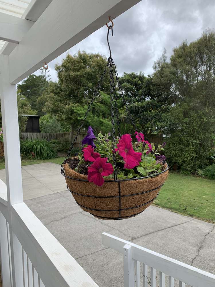 17 Paramu Avenue Birkdale_15