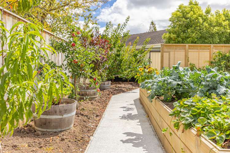 3 Porritt Street Saint Johns Hill_30