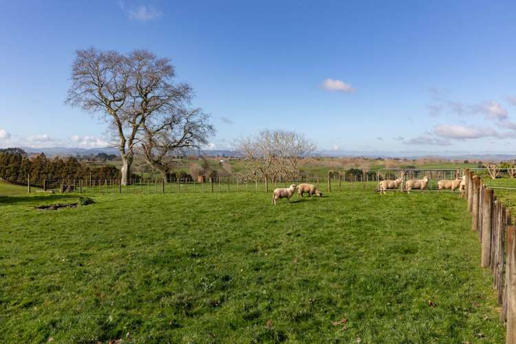 105b Hall Road Rangiriri_25