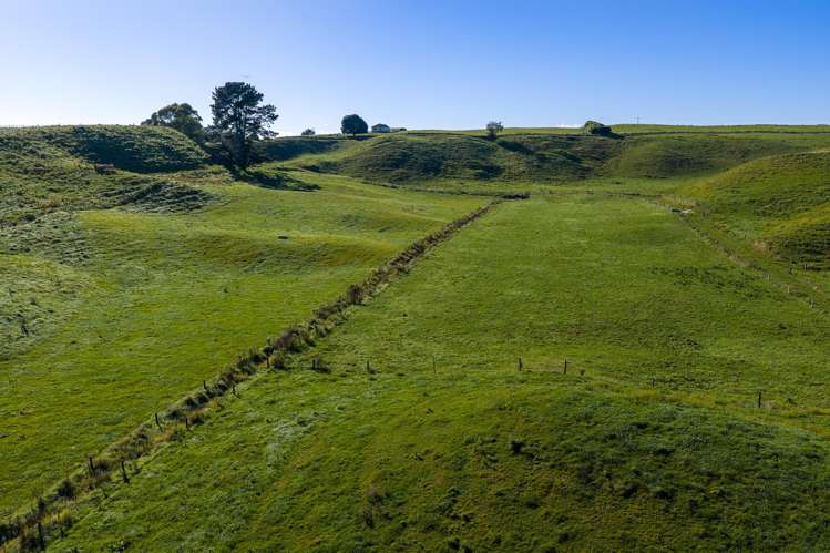 1888 Old Taupo Road Wiltsdown_11