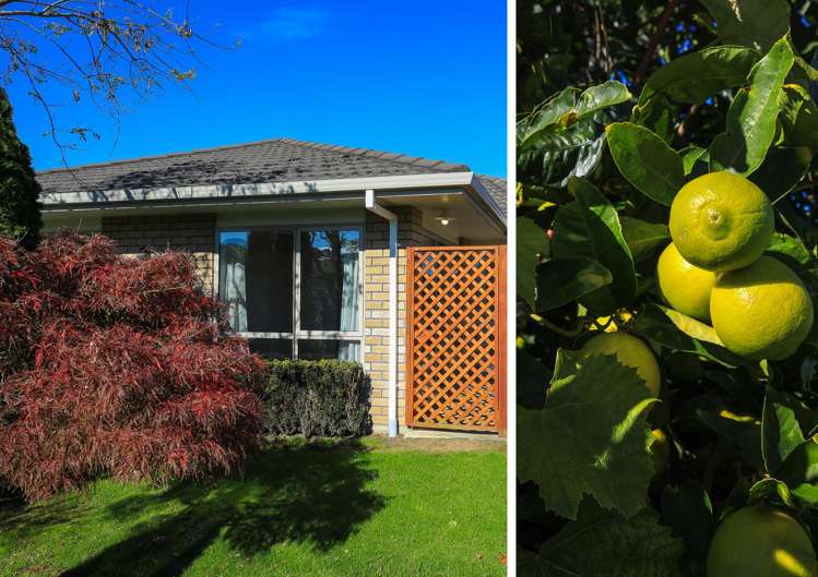 2 Edward Bullen Place Thames-coromandel_20
