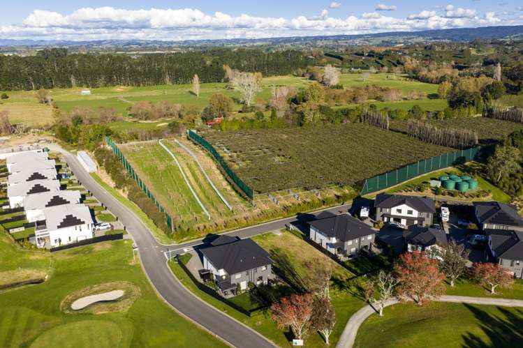 6 Prestwick Lane Katikati_6