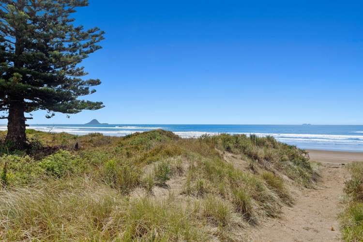 380 Ocean Road Ohope_34