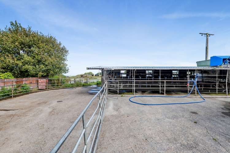 Whakamara Road Hawera_7