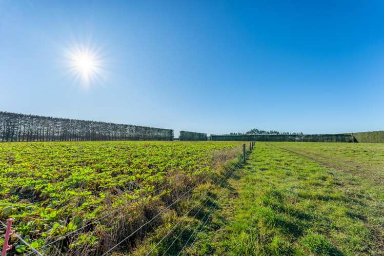 15 McClelland Road and 15 Taylor Road Rangitata_23