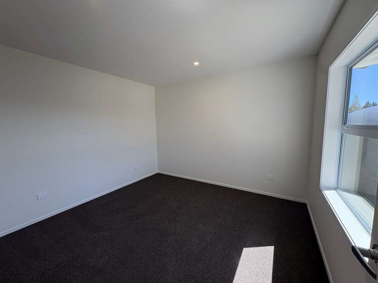 321a Woodstock-Rimu Road Ruatapu_11