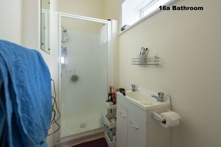 16 Glendavar Street Berhampore_5