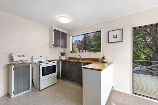 10 Topaz Street Birchville_4