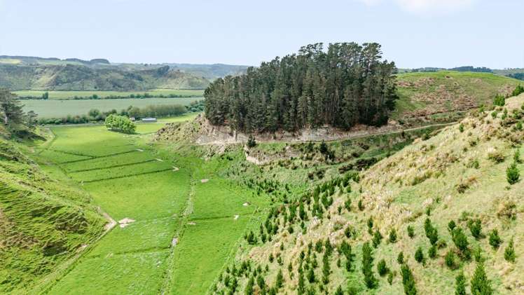 195 Ngutuwera Road Waitotara_21