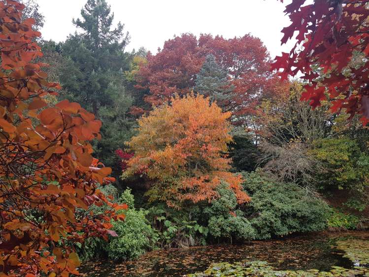 60 Grammar Street Kimbolton_10