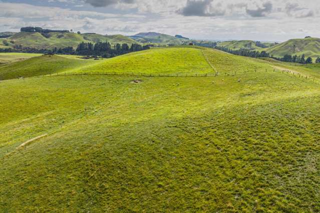 558 Crownthorpe-Settlement Road Crownthorpe_3