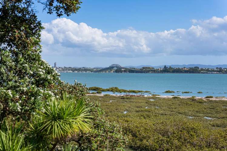 6A Pine Ridge Terrace Hauraki_13