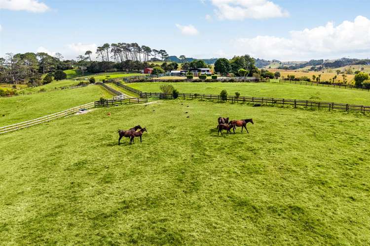 145 Hanham Road Kumeu_32