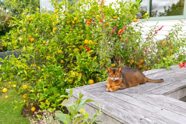 8 Saint Johns Terrace Tawa_4