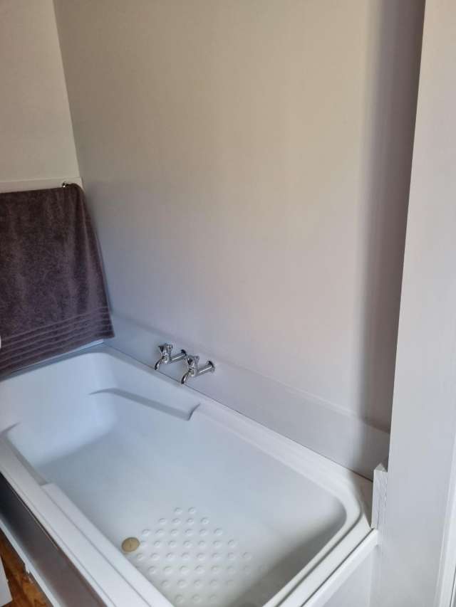 165 Buller Road 1863_3