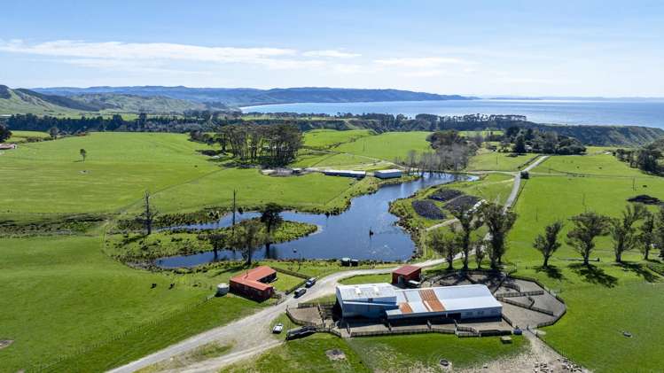 790 Mahia East Coast Road Māhia_9