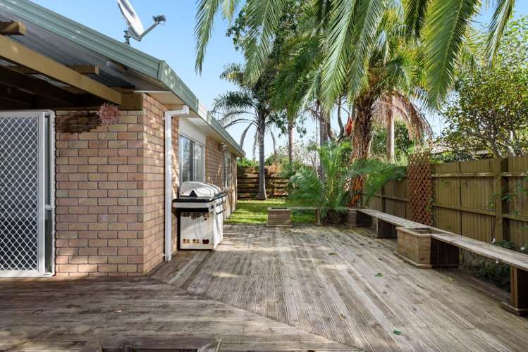 69b Girven Road Mount Maunganui_3