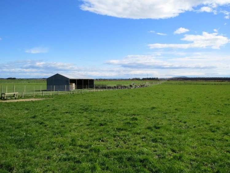 150 Clark Road Winton Surrounds_11