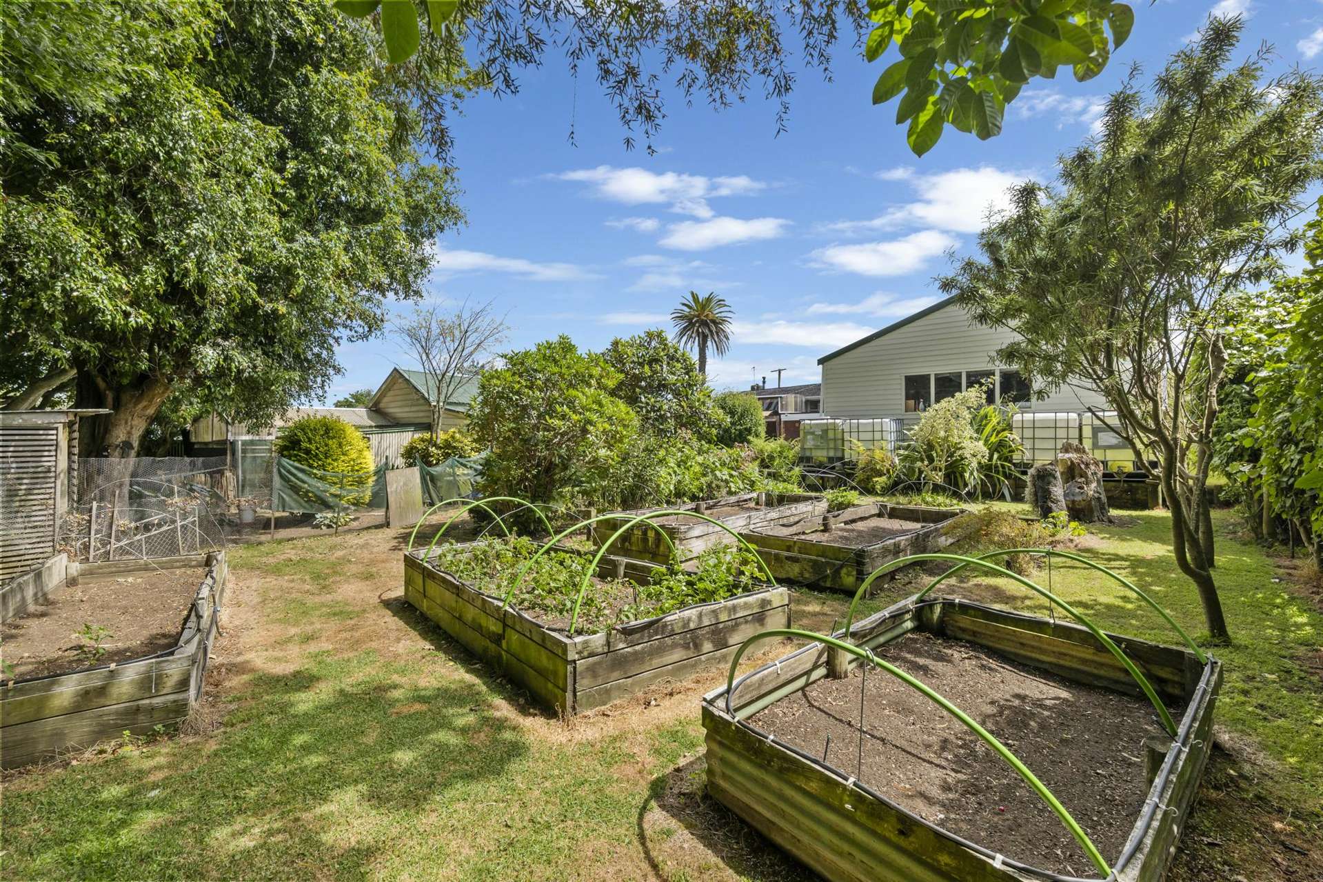 3 Brassey Street Waverley_0