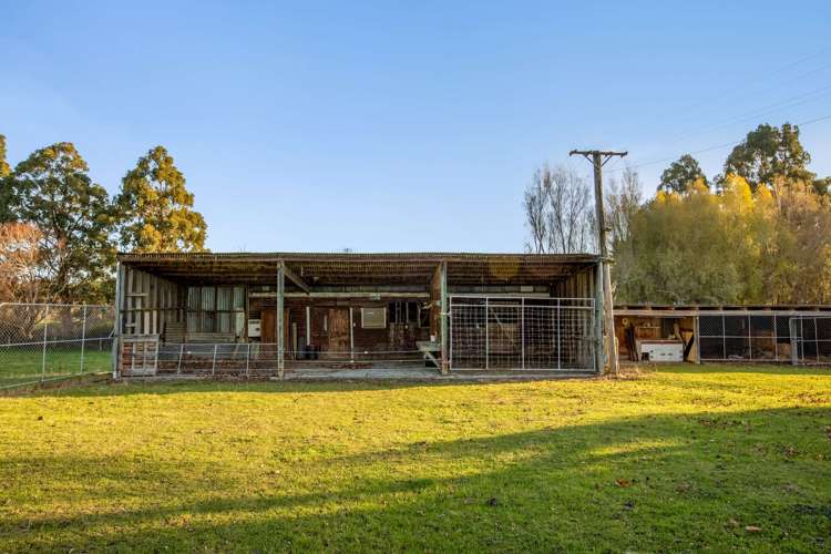 611 Longridge Road Lumsden Surrounds_25