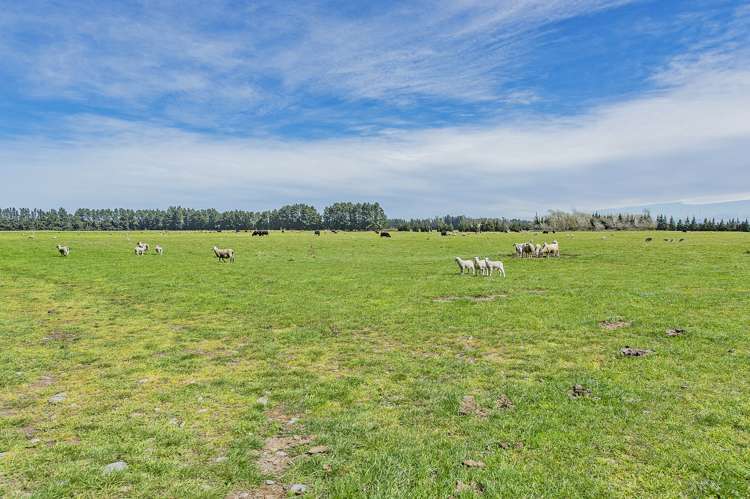 Weedons Ross Road West Melton_15