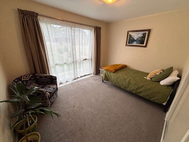 12K Alluvial Place 10126_3