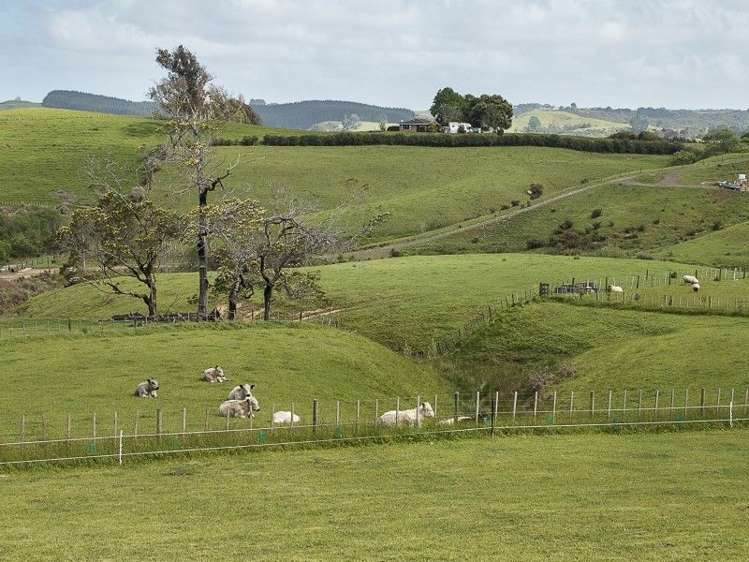 63 Bluff Road Pokeno_15