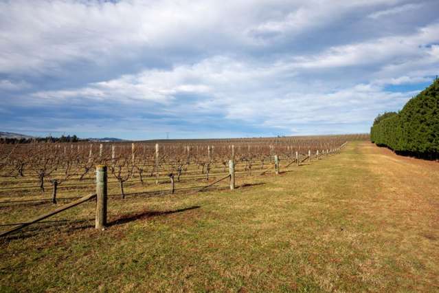 590 Georges Road Waipara_3