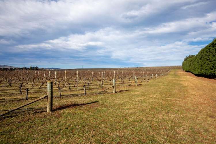 590 Georges Road Waipara_3