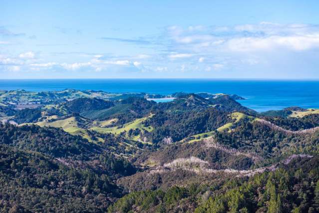 670 acre bush sanctuary in the sky