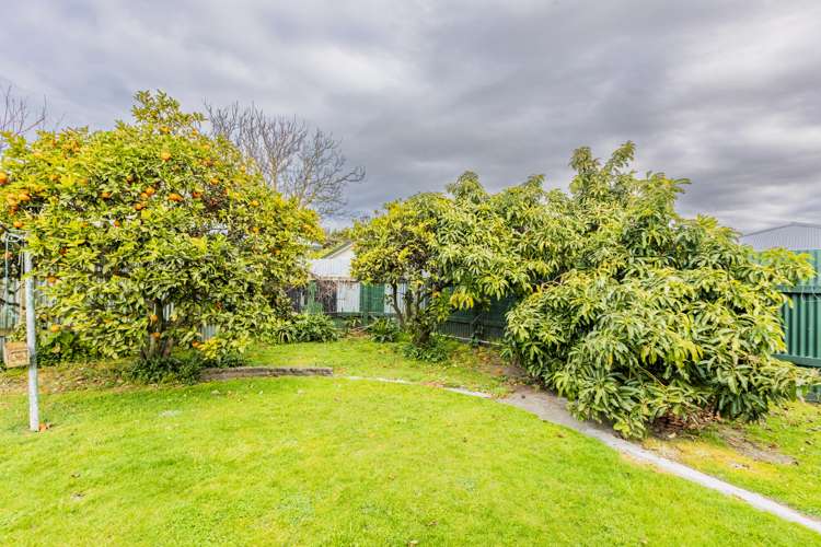 20 Vigor Brown Street Napier South_17