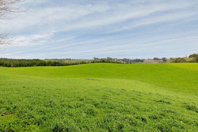 936 Pongakawa Bush Road Pongakawa_25