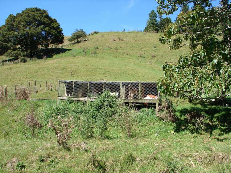 82 Carter Road Taumarunui_6