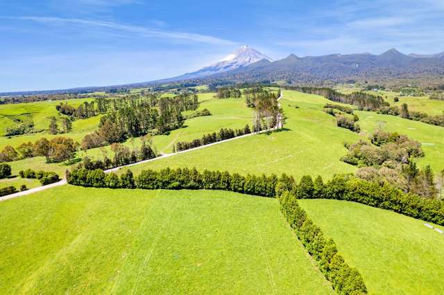 1627 Mangorei Road Korito_1