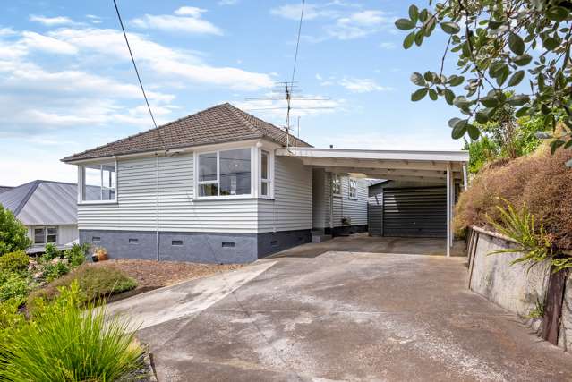 8 Dally Terrace Mount Roskill_2