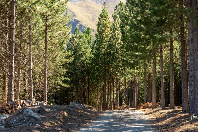 515 Manuka Terrace Twizel_24