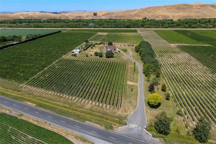 457 Dartmoor Road Puketapu_19