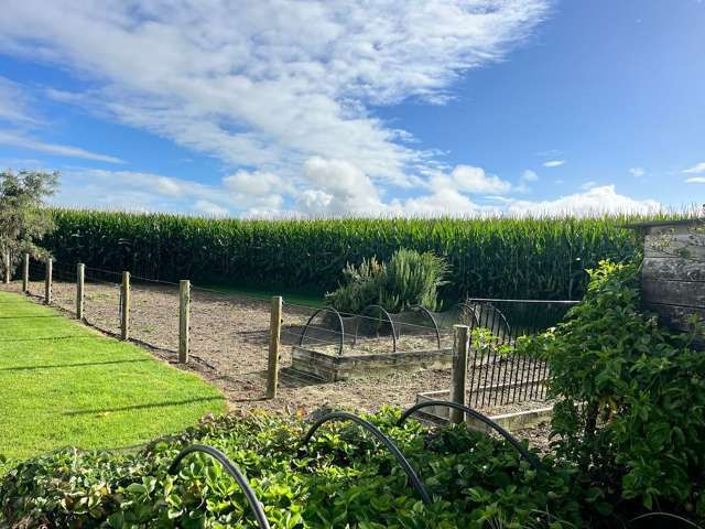 315A Paeroa-Tahuna Road Springdale_2