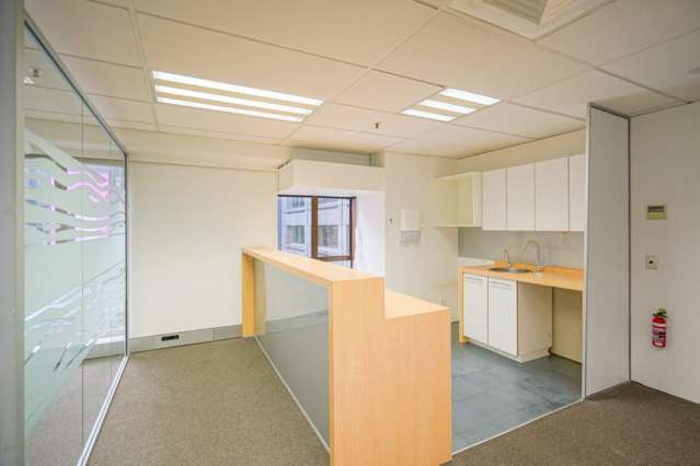 93 The terrace Wellington Central_1