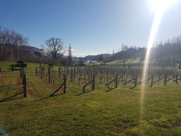 1372 Tuki Tuki Road Central Hawkes Bay Coastal_16