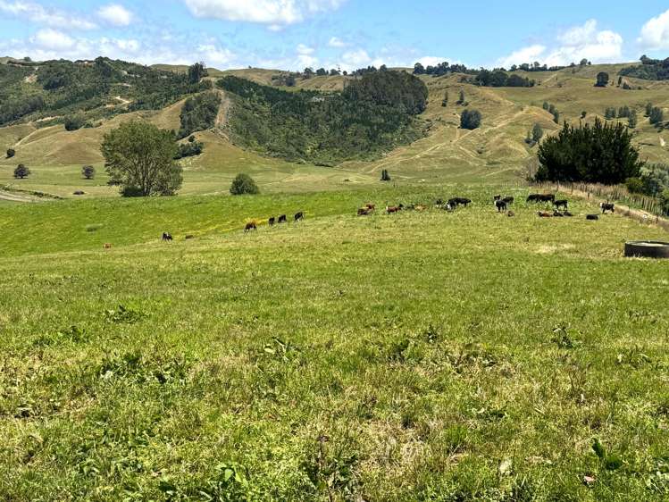 219 Waitomo Valley Road Otorohanga_16