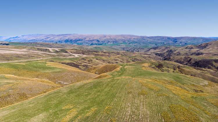 540 Four Mile Road Hyde_7