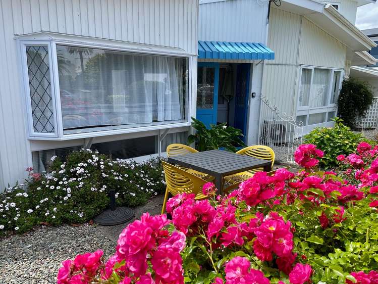 1/6 Shakespeare Walk The Wood_10