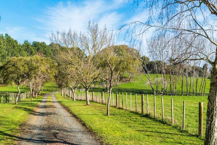 75 Fielding Road Drury_8