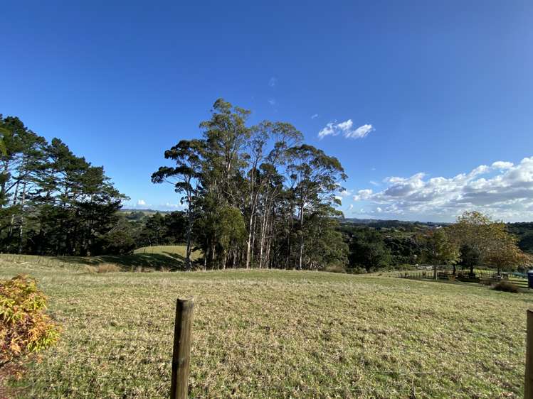 264 Ara-Kotinga Whitford_23